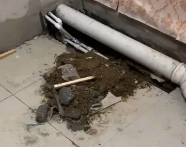港口卫生间漏水检测哪家好